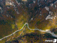 울긋불긋 물든 한계령