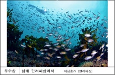 눈부시게 아름다운 국립공원…사진공모 대상에 태백산 미지의 겨울왕국