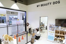 롯데마트, 펫 전문 매장 콜리올리 열어