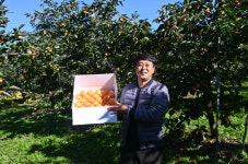 청도 과일장수, 9일만에 매출 20배 대박 비결 뭐지?