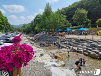 수십년 계곡 불법 자릿세 없앤 청학밸리리조트 누적 방문객 10만명