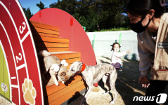 40년간 공설화장장 봉수로 산책로에 반려견 놀이터…인기