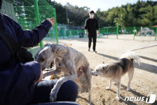 40년간 공설화장장 봉수로 산책로에 반려견 놀이터…인기