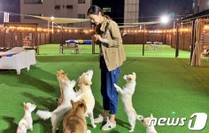 애견놀이터 도그어스플래닛 개장…경동시장, 개시장 오명 벗는다