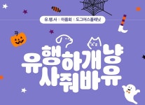 애견놀이터 도그어스플래닛 개장…경동시장, 개시장 오명 벗는다
