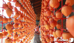 지리산 곶감 만들어요