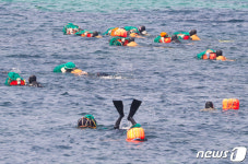 제주서 해산물 채취하던 50대 해녀 숨져