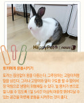 [펫카드]토끼도 반려동물입니다…입양 시 주의사항은