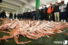 먹음직스러운 대게가 한가득