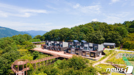 단양 소백산자연휴양림 호젓한 힐링 쉼터 인기