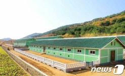 북한, 평남 평성시에서 염소목장 확장 공사 진행