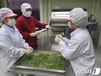 용인시 농산물종합가공지원센터, 3개 유형 HACCP ‘인증’