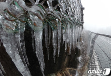 고드름이 주렁주렁