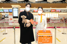펫팸족 오세요…제주항공, 반려동물 운송 확대