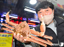 대게 맛보고 가이소