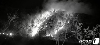 산불 예방 수칙