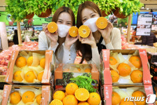 충주 탄금향 출시