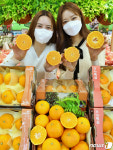 충주에서 온 탄금향 맛보세요