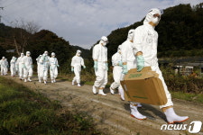 유럽·亞 조류인플루엔자(AI) 확산…업계 비상등 켜지나