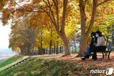 [풍경] 충북 영동 양산팔경 금강둘레길 늦가을 정취 물씬