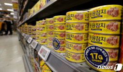 참치캔도 가격 올라요 동원F&B, 평균 6.4% 가격 인상