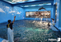승원자판기고래생태체험관 | 고래생태체험관, 12월 1일부터 '고래생태 설명회' 운영 재개