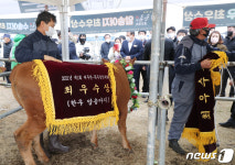 영예안은 제주 한우