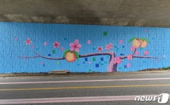 뚱딴지 갤러리를 아시나요 음성군 마을만들기 사업 농촌에 활력