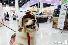 2021 코리아 펫쇼 기분 좋은 반려견