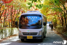 인제군 마을버스 ‘인기’…올해 이용객 1만명