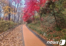 서대문구 안산 산책로 맨발로 느낀다…친환경 코르크길 조성