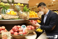 종방매청과과일 | 롯데百 강남점 '청과 전문 바이어가 고른 프리미엄 과일'