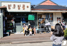 포항 관광 필수코스된 드라마 갯마을 차차차 촬영지