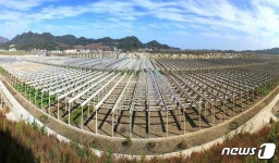 강원도 정신 5주년 기념한 북한…원산온실농장 건설장 소개