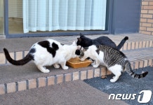 농림축산식품부 장관상 받은 21그램, 수상 배경 보니