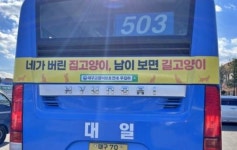 집고양이 하고 싶어요…대구고양이보호연대 버스 광고 눈길