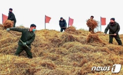 내년 농사차비에 나선 안주시 남칠협동농장 농장원들