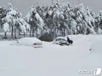 성탄절 눈폭탄에 영동 곳곳 피해 속출…고립·정체·정전·사고 잇따라