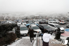 성탄절 한라산 1100고지 꽉꽉