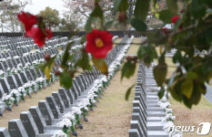 [2022제주③] 새해부터 제주4.3희생자 보상, 끝 아닌 시작