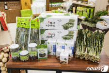칼바람이 빚은 ‘양구 시래기’…올해 900톤 출하
