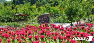 세종시 목인동 민간정원 1호 등록…무료 개방