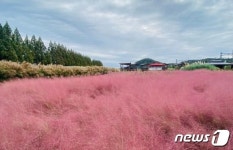 세종시 목인동 민간정원 1호 등록…무료 개방