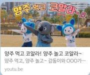 양주 먹고 코알라가 무슨 뜻?…삭제된 양주시 홍보영상 논란