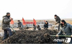 북한 각지 농업 일꾼들, 많은 거름을 포전에 실어내