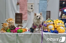 댕댕이 한복 사진 찍으러 오세요…마이펫페어, 세텍서 열려