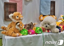 댕댕이 한복 사진 찍으러 오세요…마이펫페어, 세텍서 열려
