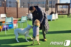 [가족의 발견(犬)]