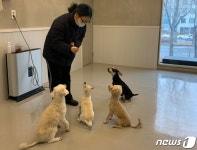 설 연휴 걱정마시개…서초구 반려견 돌봄쉼터 운영