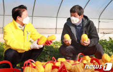 성주참외 올해 첫 출하…10kg들이 1박스 14만원 농협 납품